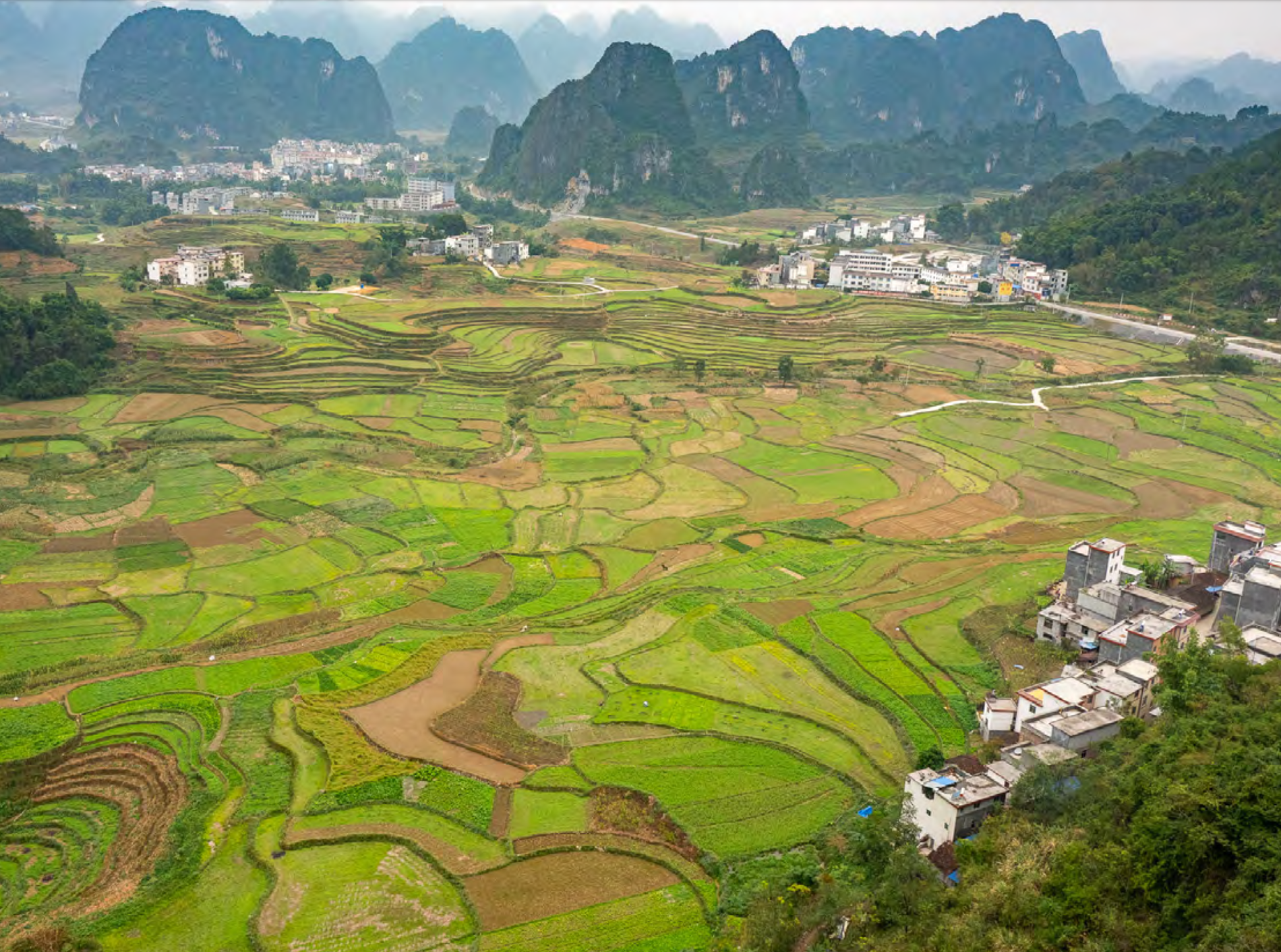 paysage de rizière en Chine